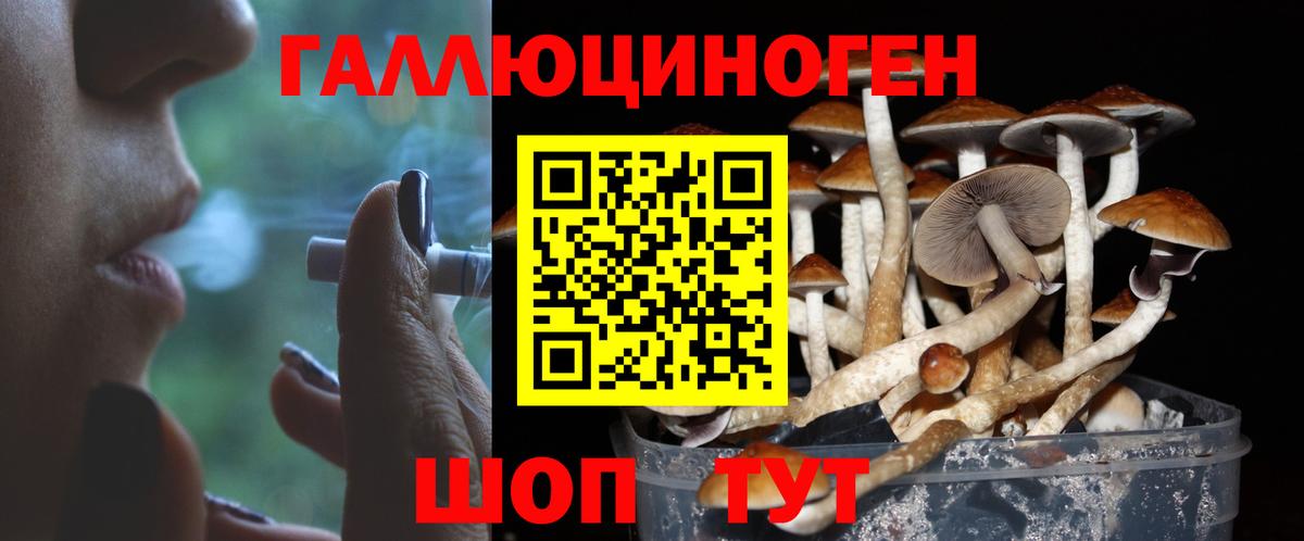Мичуринск  Галлюциногенные грибы мухоморы  Вход с VPN 